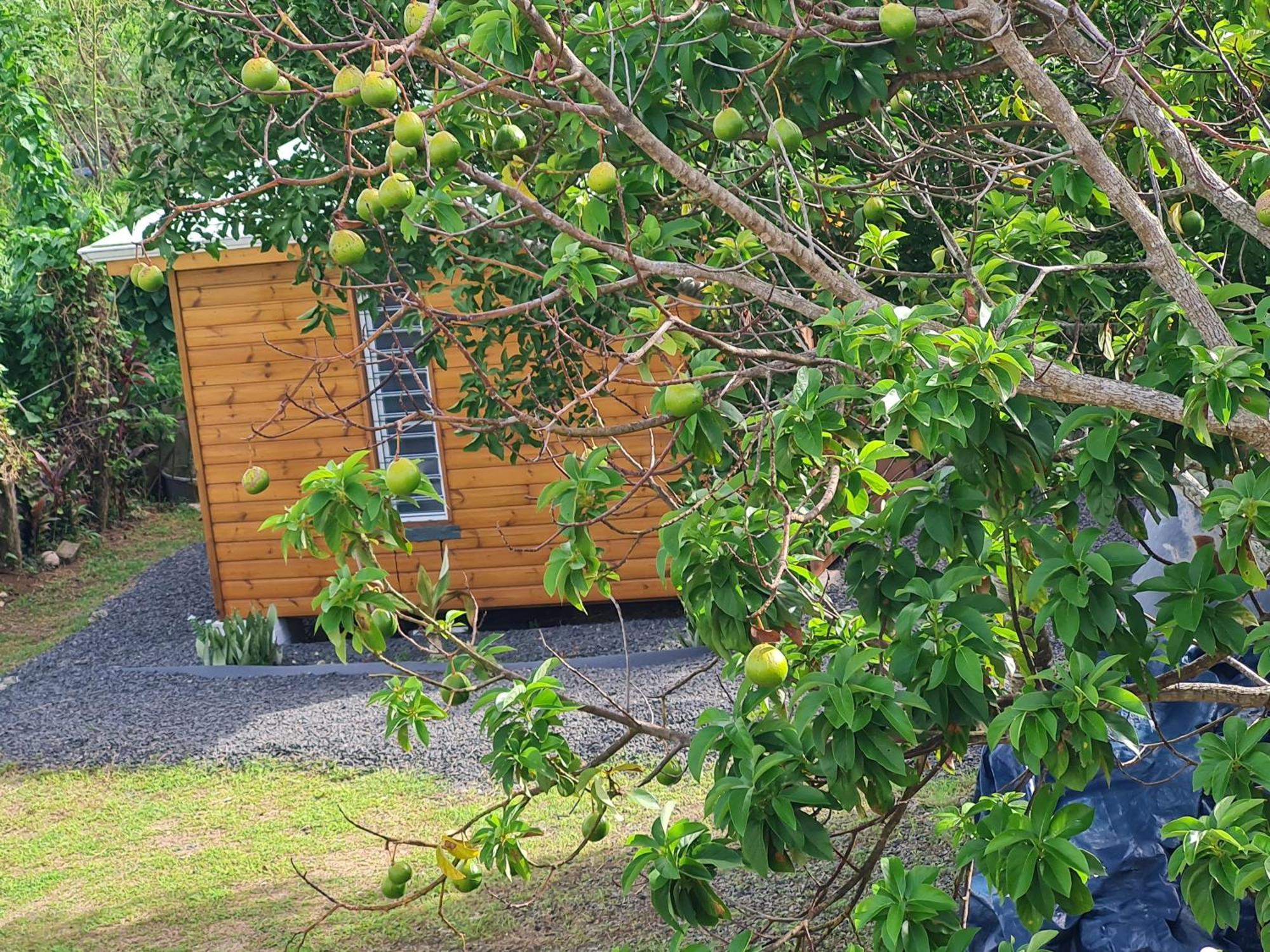 La Kaz Nature Bien-Etre Petit-Bourg Exterior foto